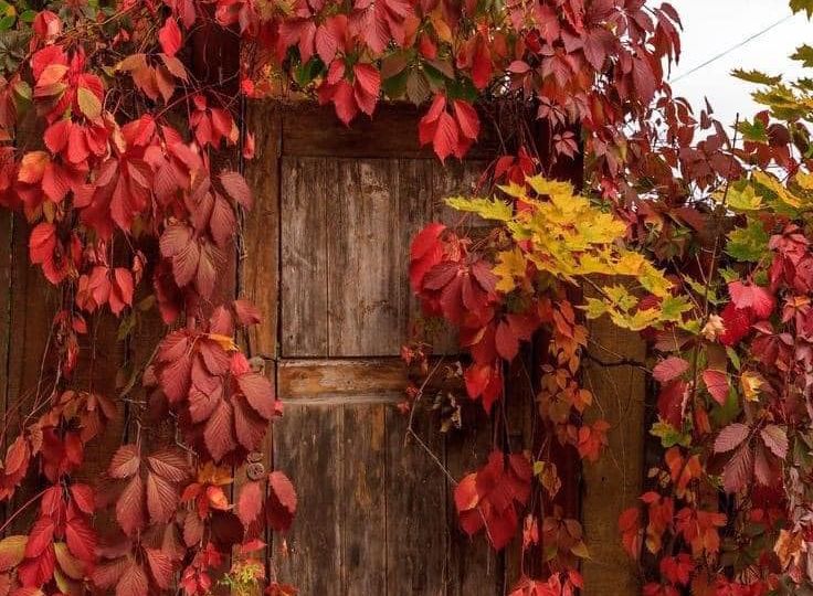 462445551_8639134942821372_2975935890469481195_n